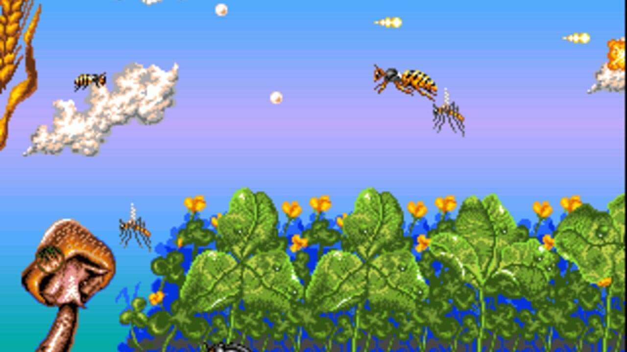 Apidya thumbnail 3