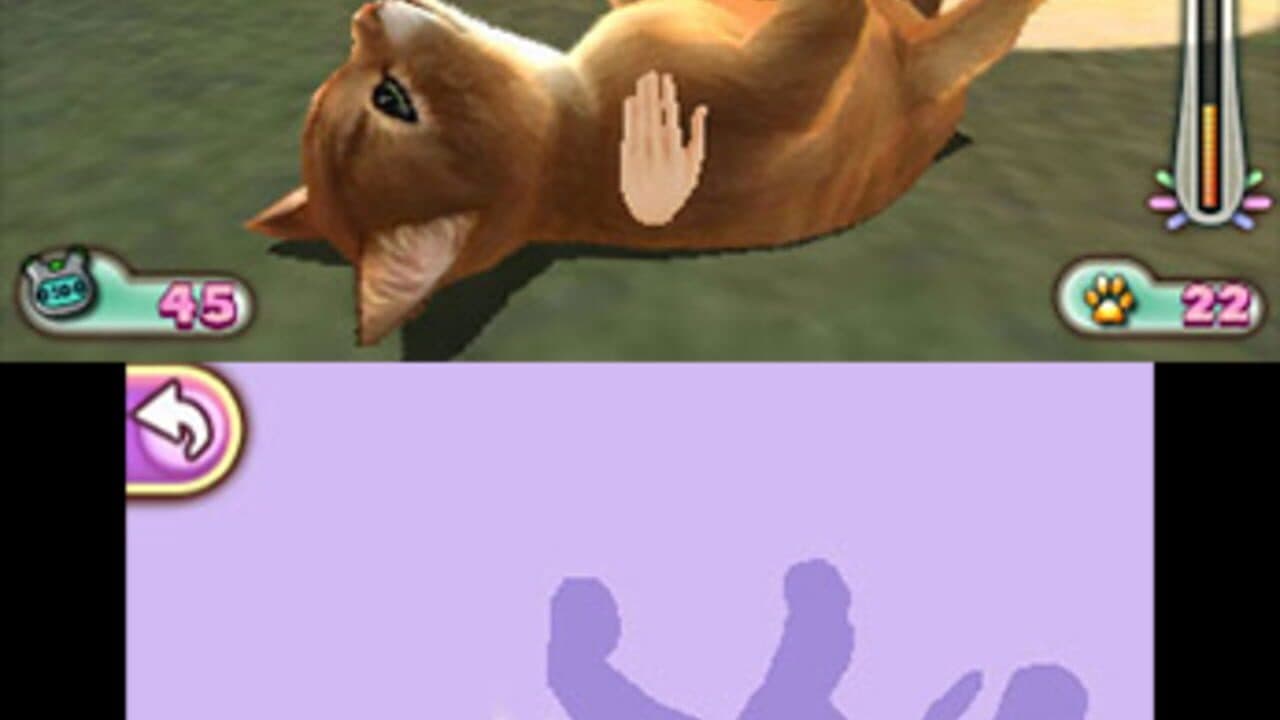 Pet Inn 3D thumbnail 6