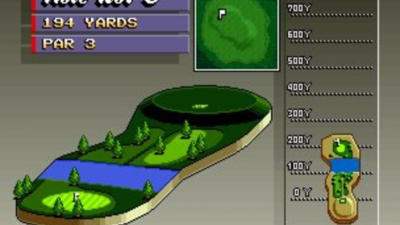 Neo Turf Masters thumbnail 6