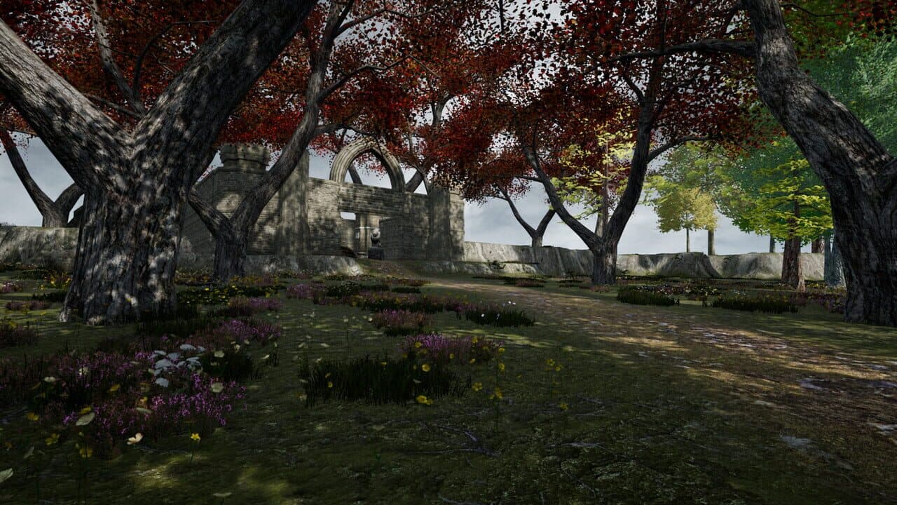 Suna thumbnail 5
