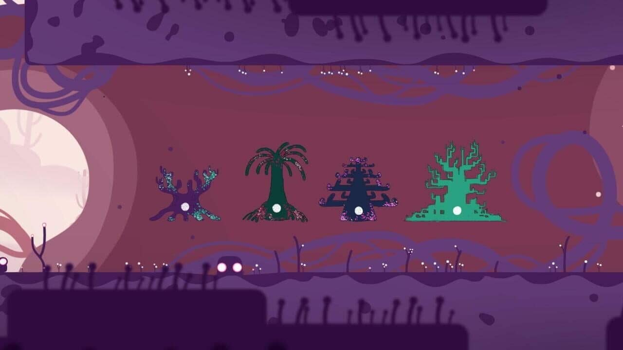 Semblance thumbnail 2