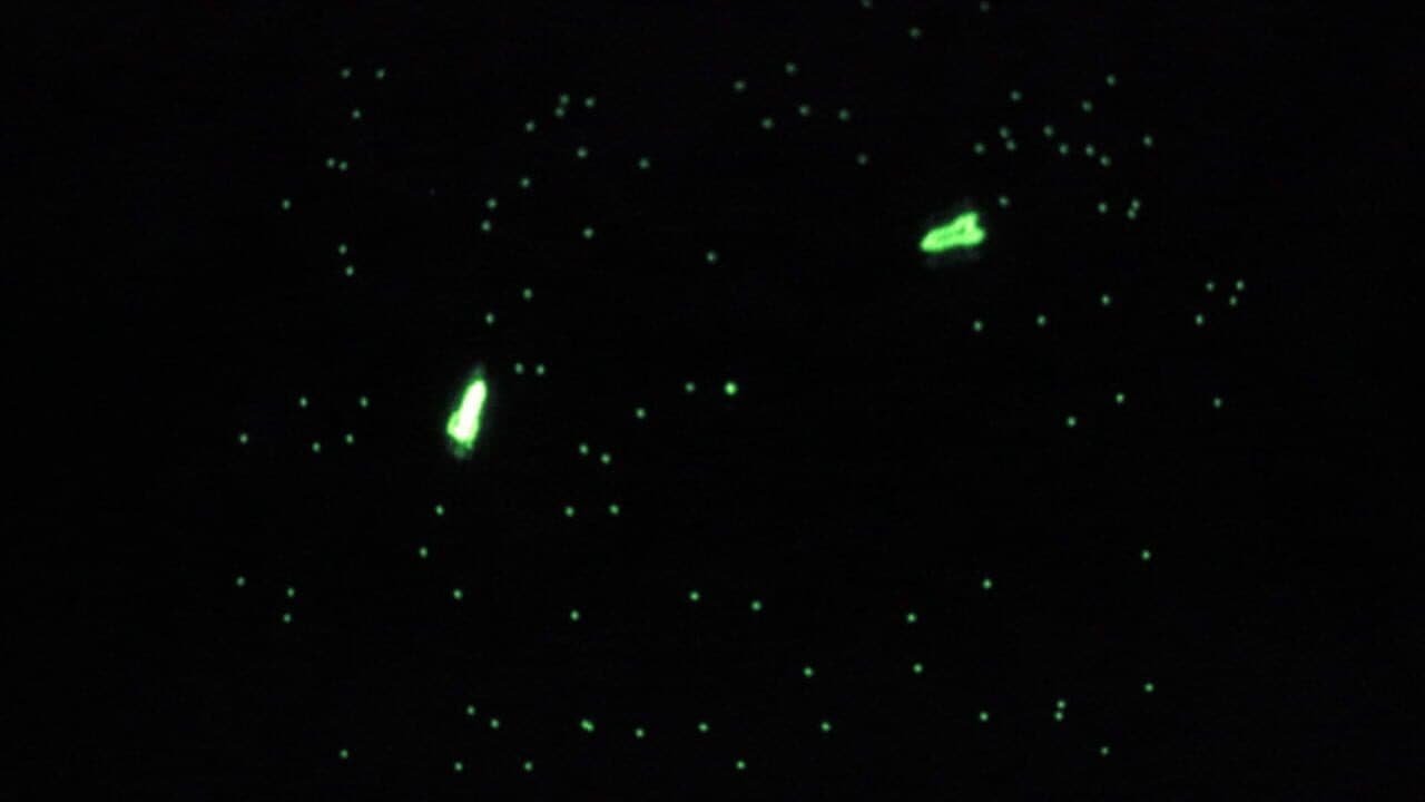 Galaxy Game screenshot 1