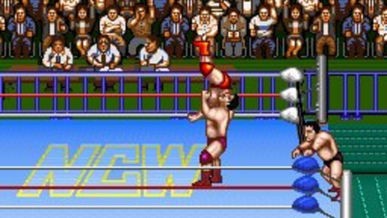 Natsume Championship Wrestling screenshot 1