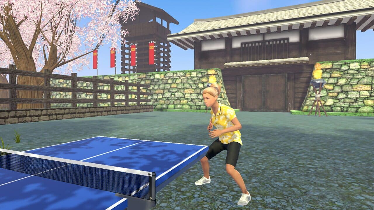 VR Ping Pong Paradise thumbnail 5