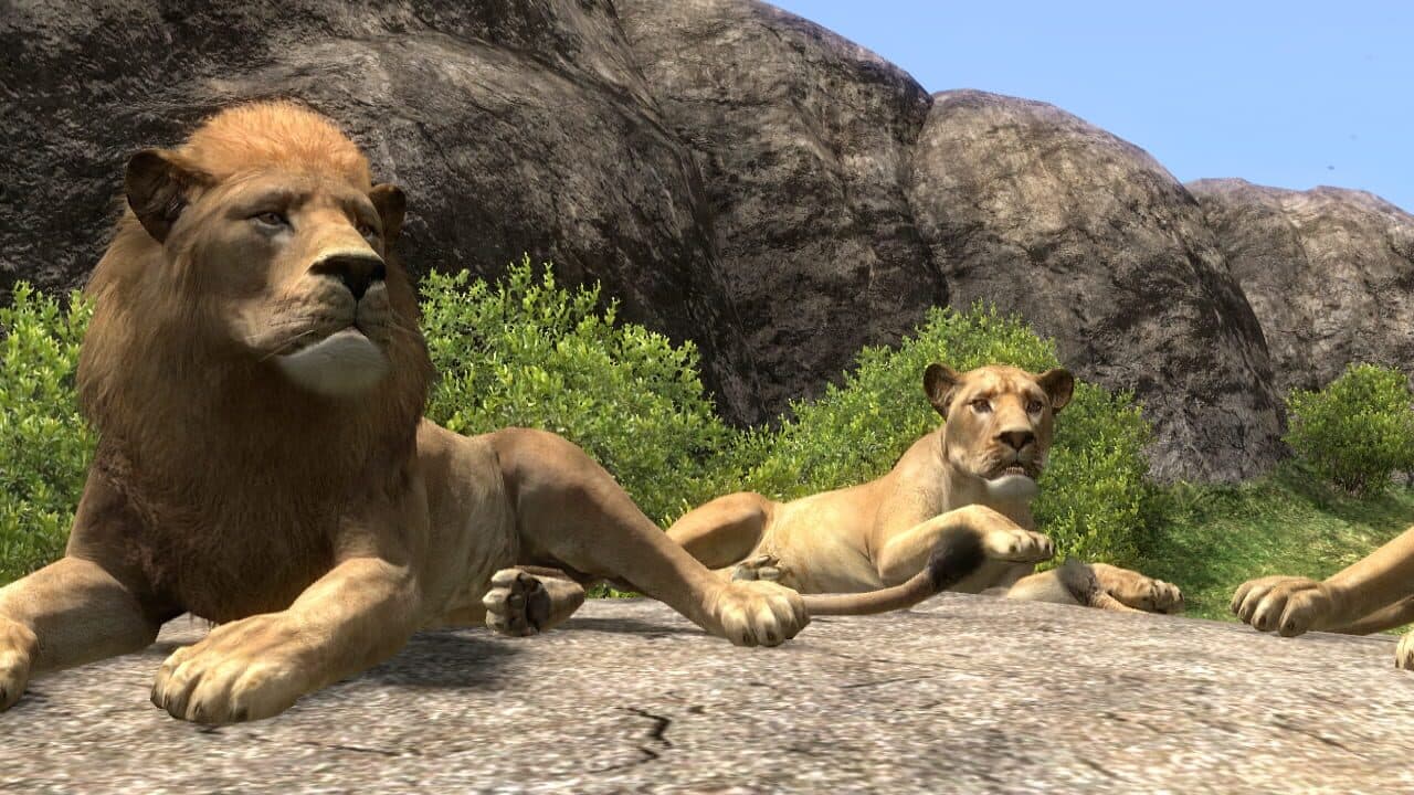 Afrika thumbnail 3