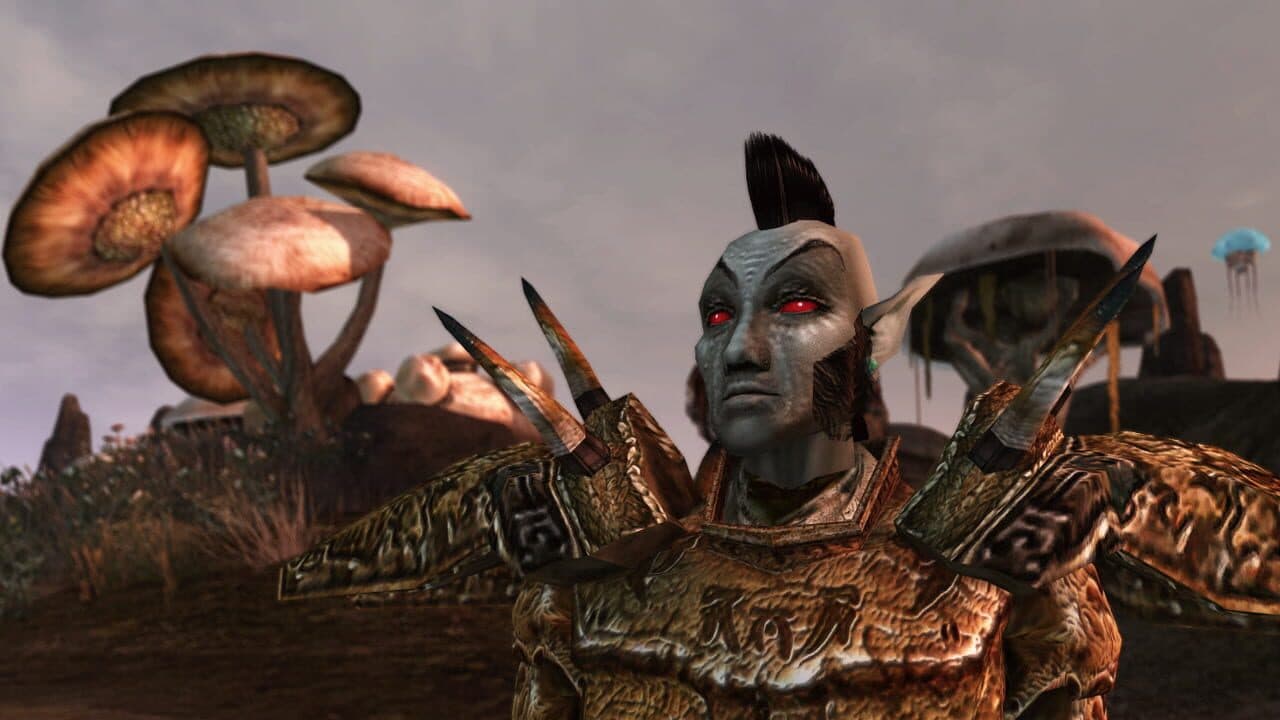 The Elder Scrolls III: Morrowind thumbnail 4