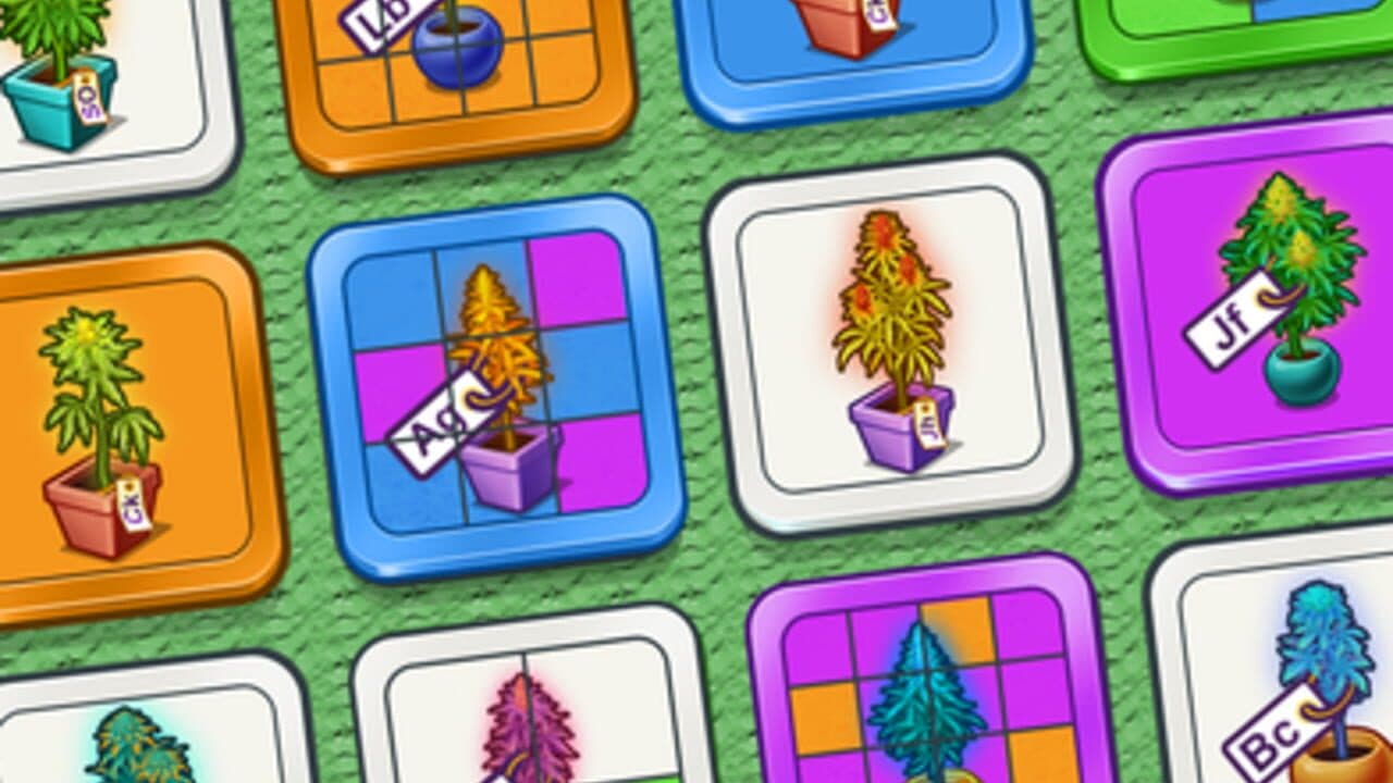 Wiz Khalifa's Weed Farm thumbnail 6