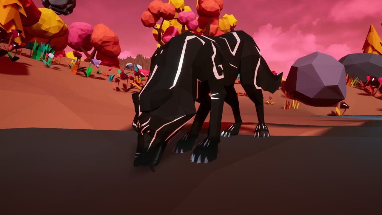 Paws and Soul thumbnail 9