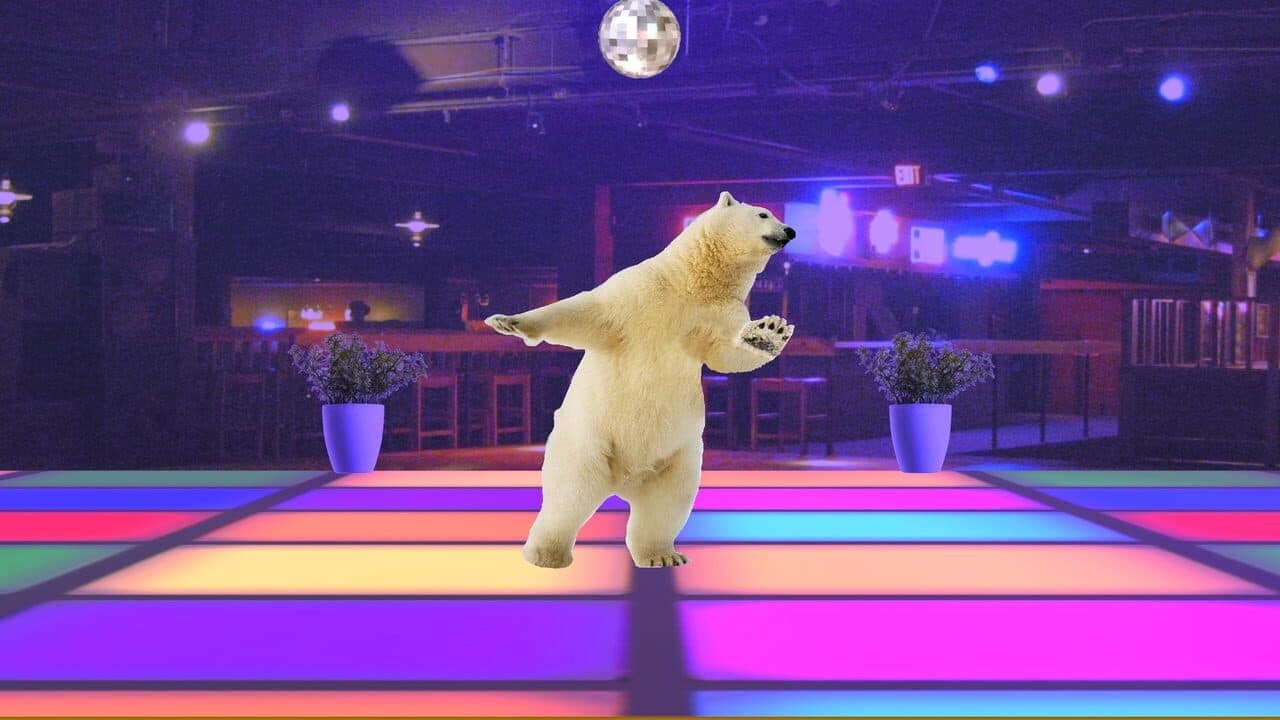 Disco Bear thumbnail 5