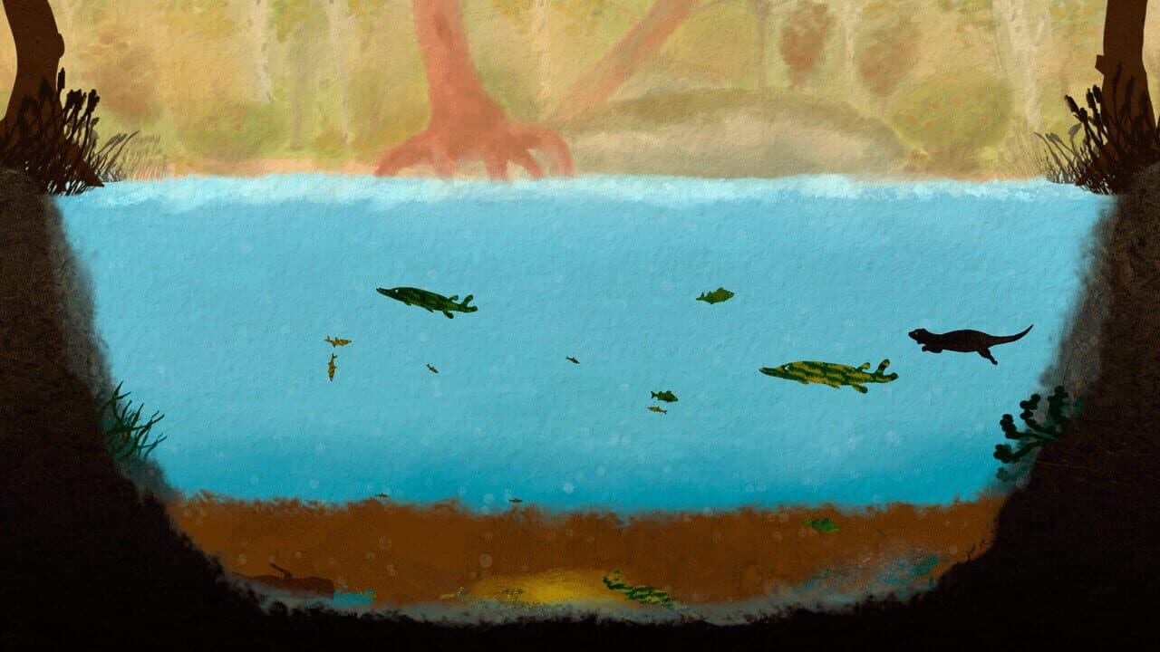 Among Ripples thumbnail 4