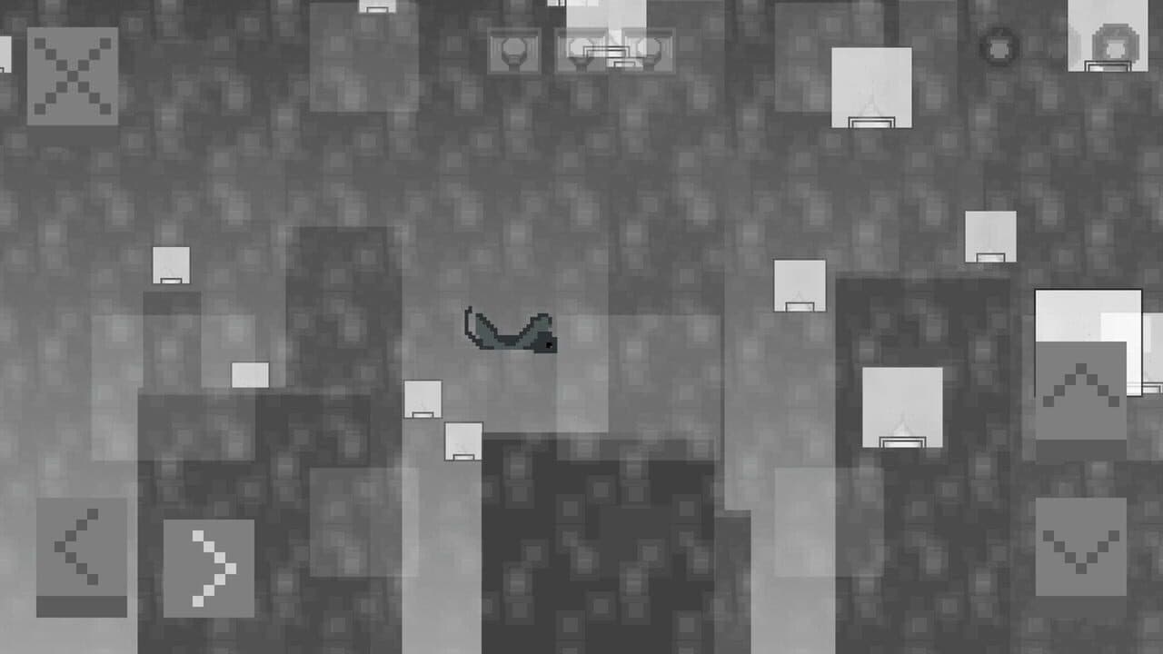 Planet Squirrel thumbnail 4
