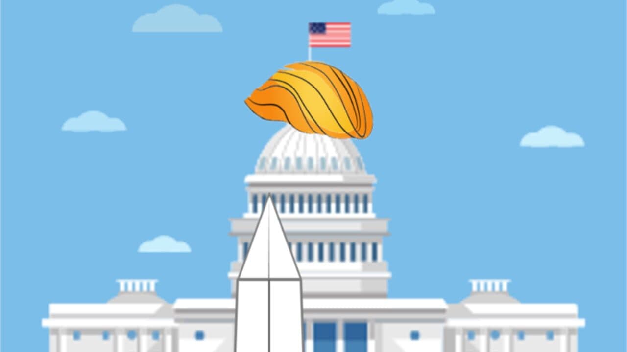 Flappy Trumpadore thumbnail 2