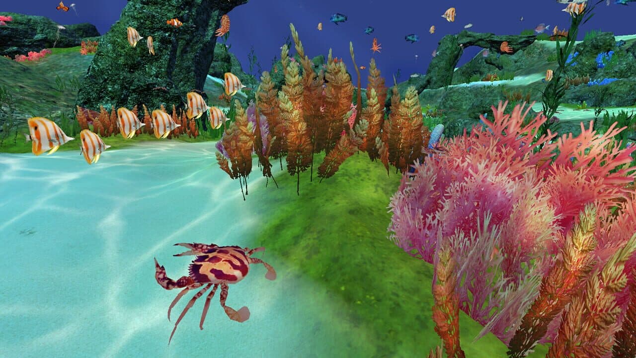 Fancy Fishing VR thumbnail 4