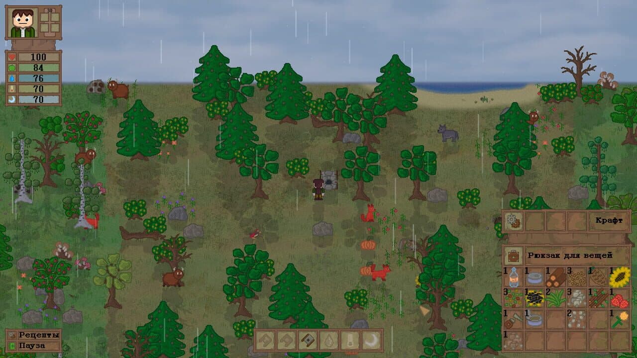 Lost In Woods 2 thumbnail 5