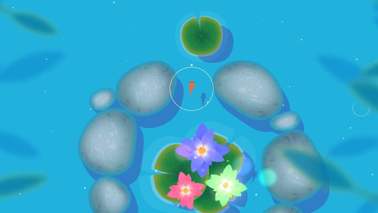 Koi thumbnail 4