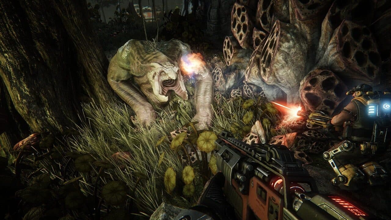 Evolve thumbnail 4