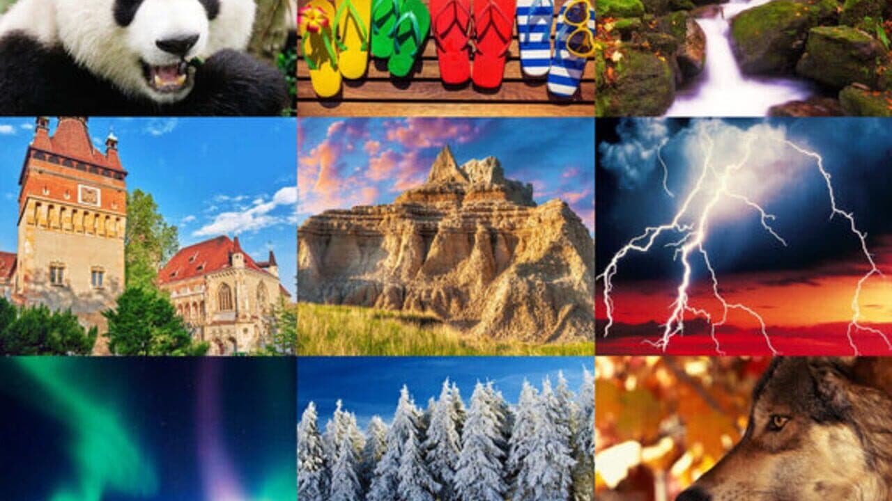 Jigsaw Puzzle by MobilityWare thumbnail 4