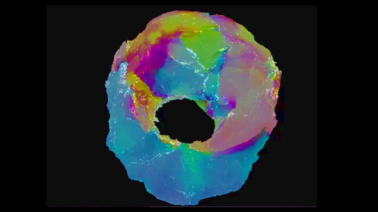 My Lil' Donut thumbnail 5