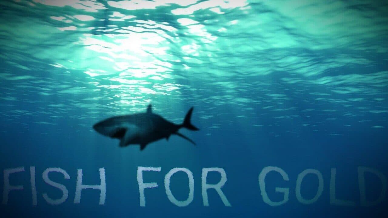 Fish for gold thumbnail 4