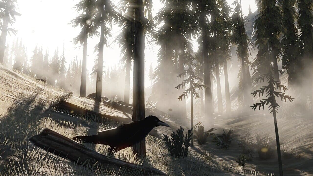 Totm thumbnail 4