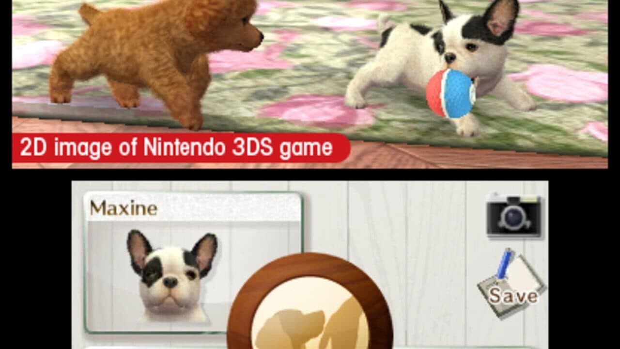 Nintendogs + Cats: French Bulldog & New Friends thumbnail 5