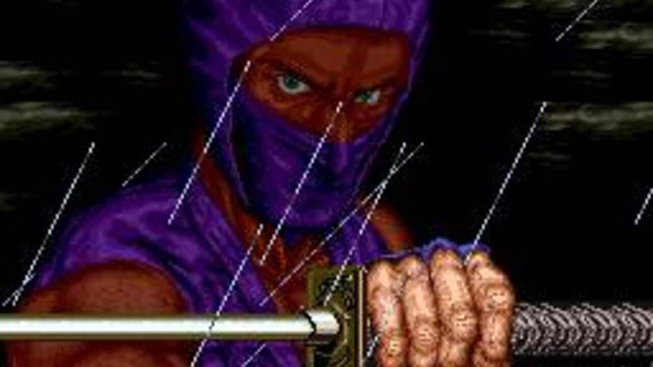 Ninja Gaiden thumbnail 8