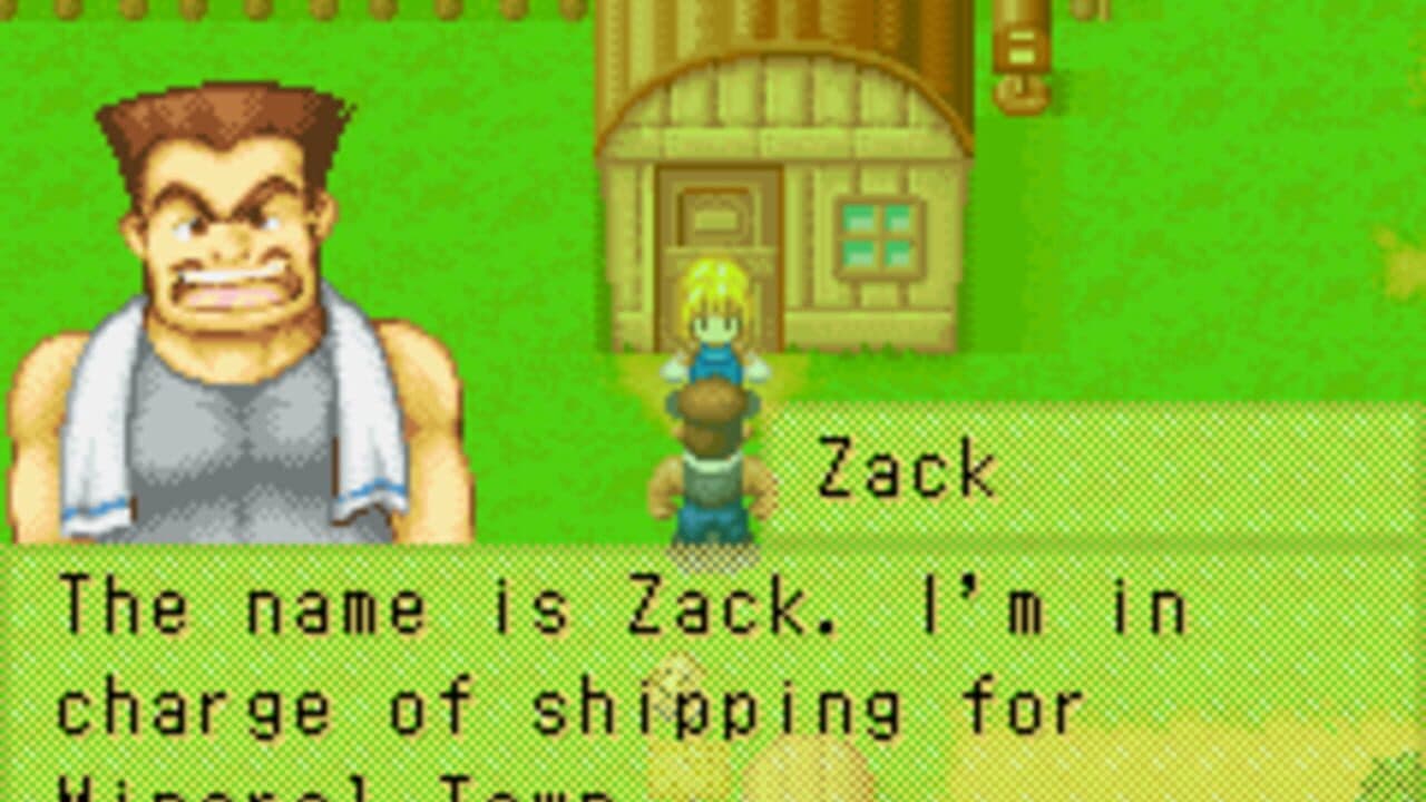 Harvest Moon: More Friends of Mineral Town thumbnail 6