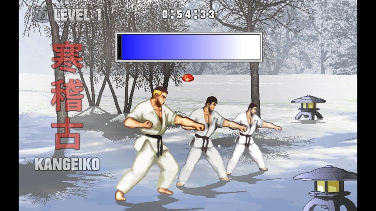 Karate Master Knock Down Blow screenshot 1