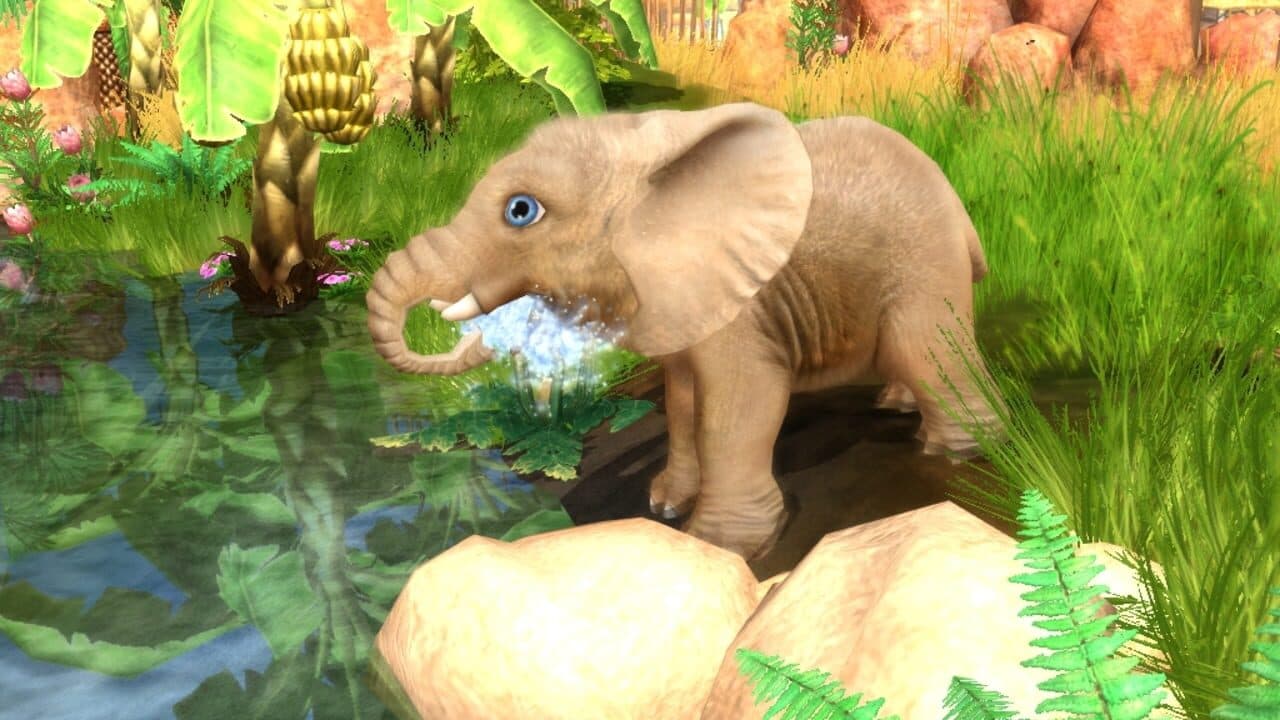 Wildlife Camp thumbnail 2