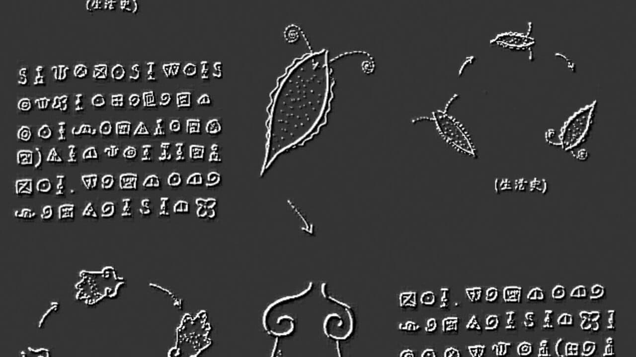 Plankton thumbnail 2