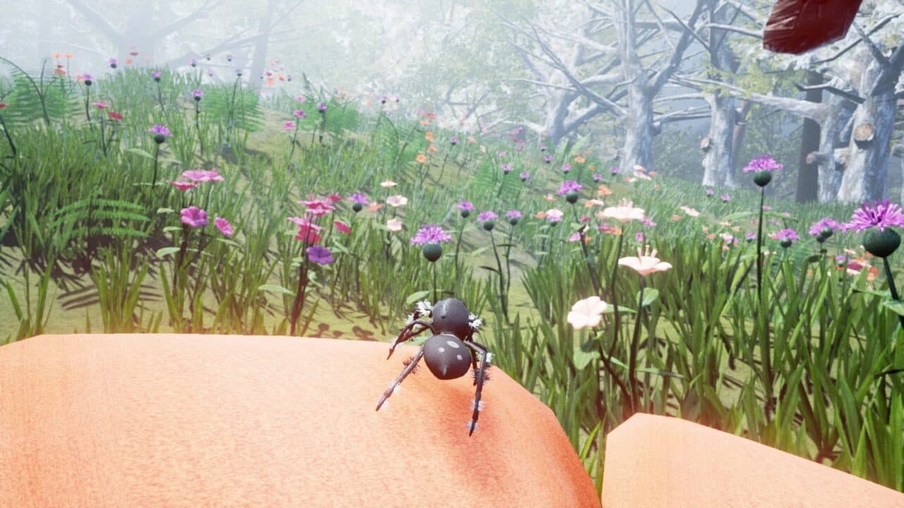 Drunk on Nectar thumbnail 5