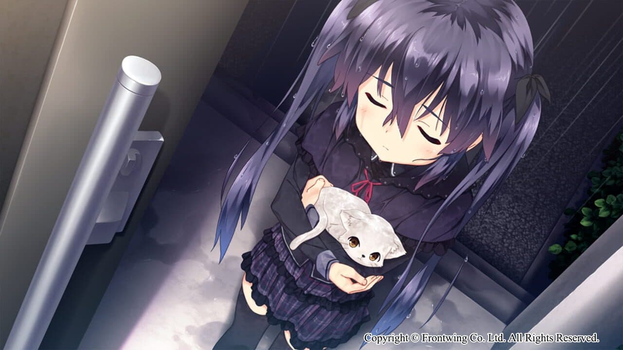Himawari: The Sunflower thumbnail 5
