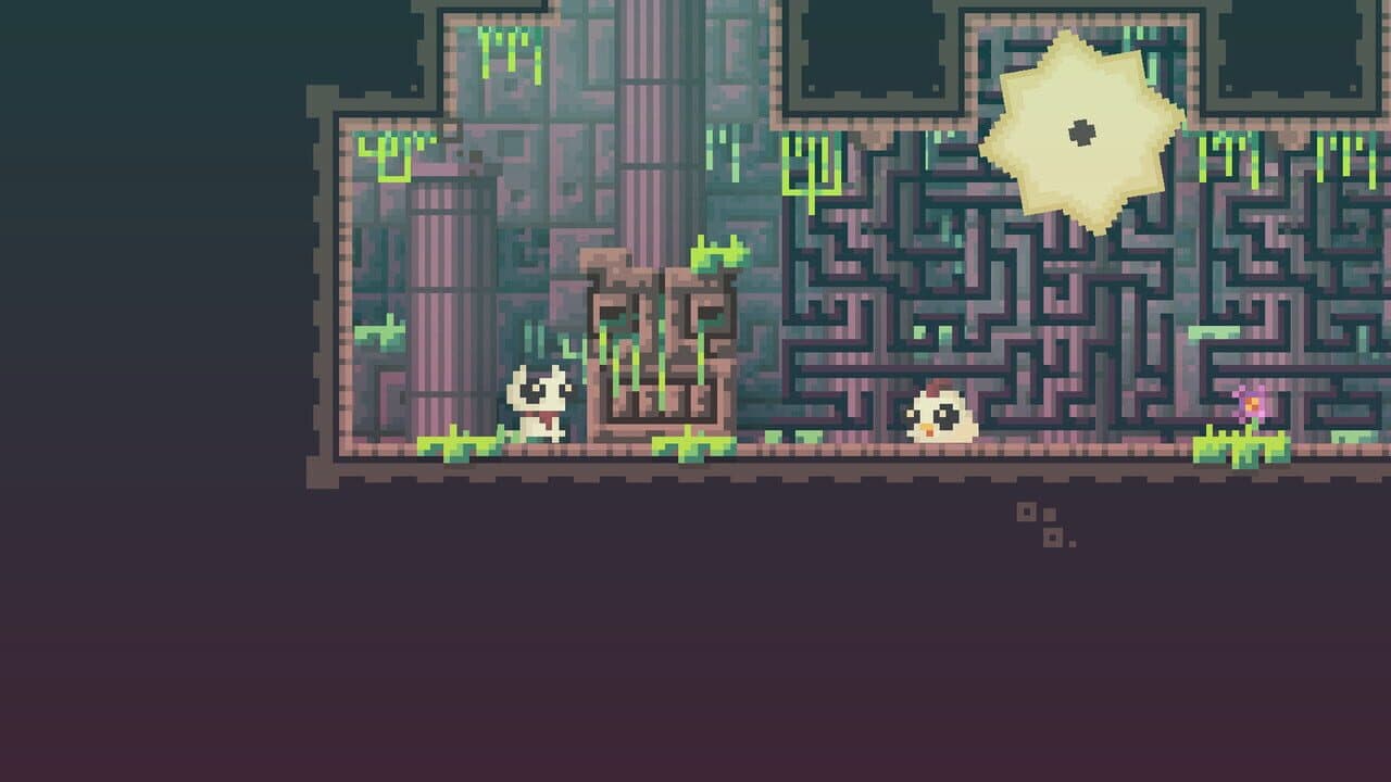 Reed thumbnail 4