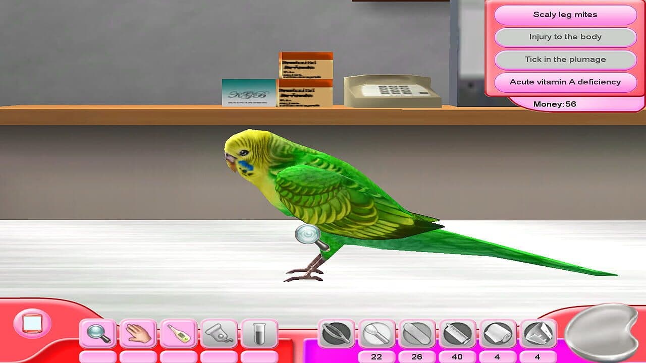 My Vet Practice: In the Country screenshot 1