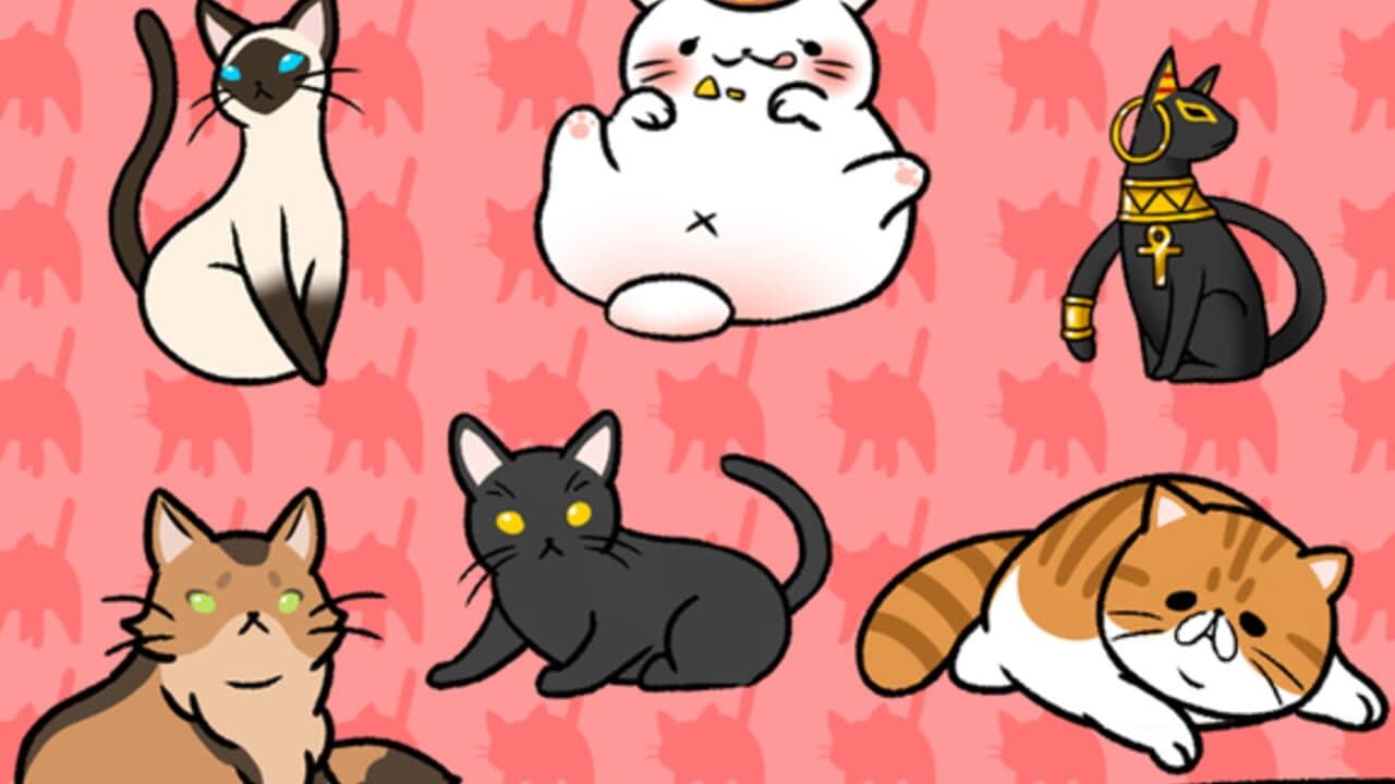 Cat Condo thumbnail 4