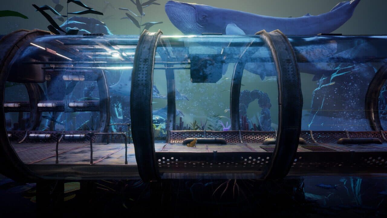 Another Sight thumbnail 5