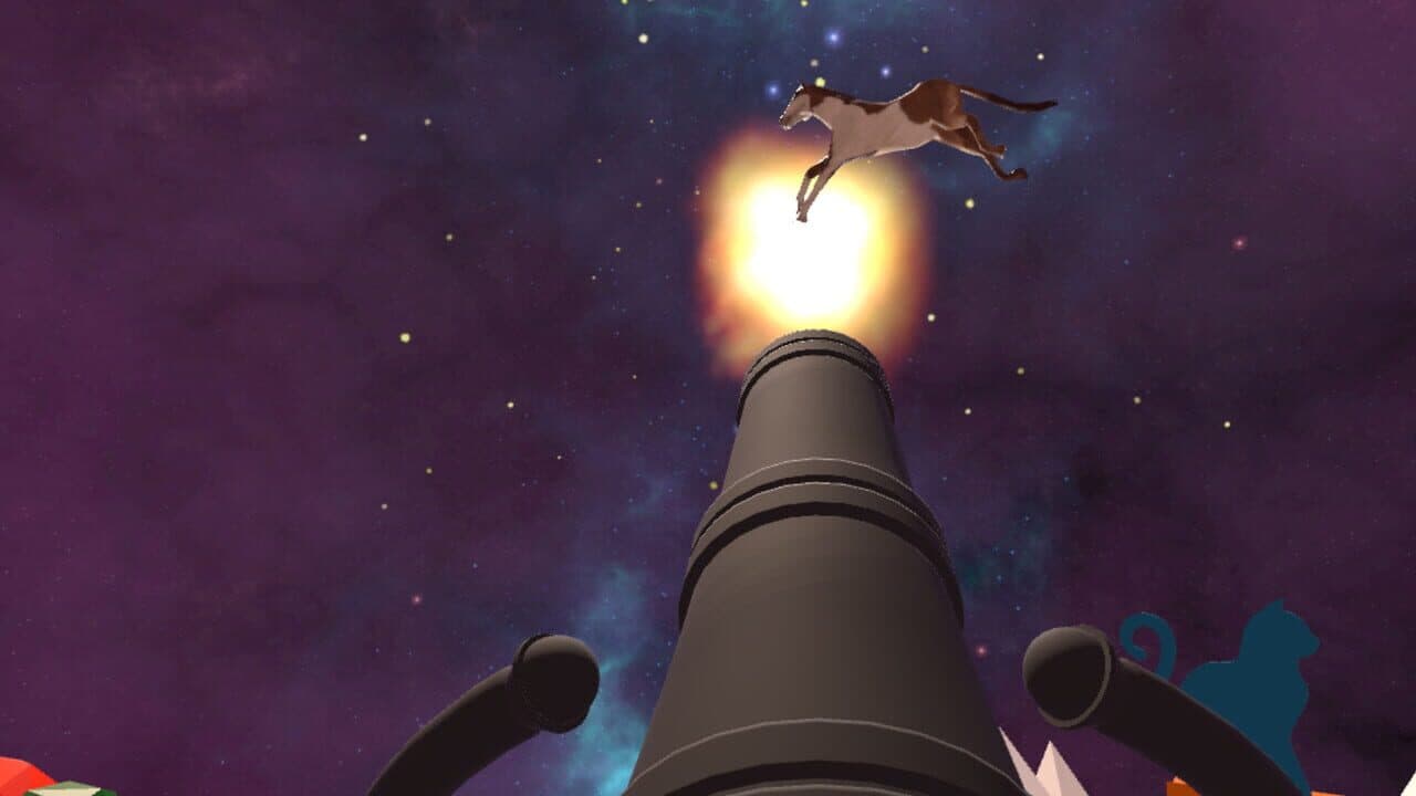 Kitten Cannon thumbnail 5