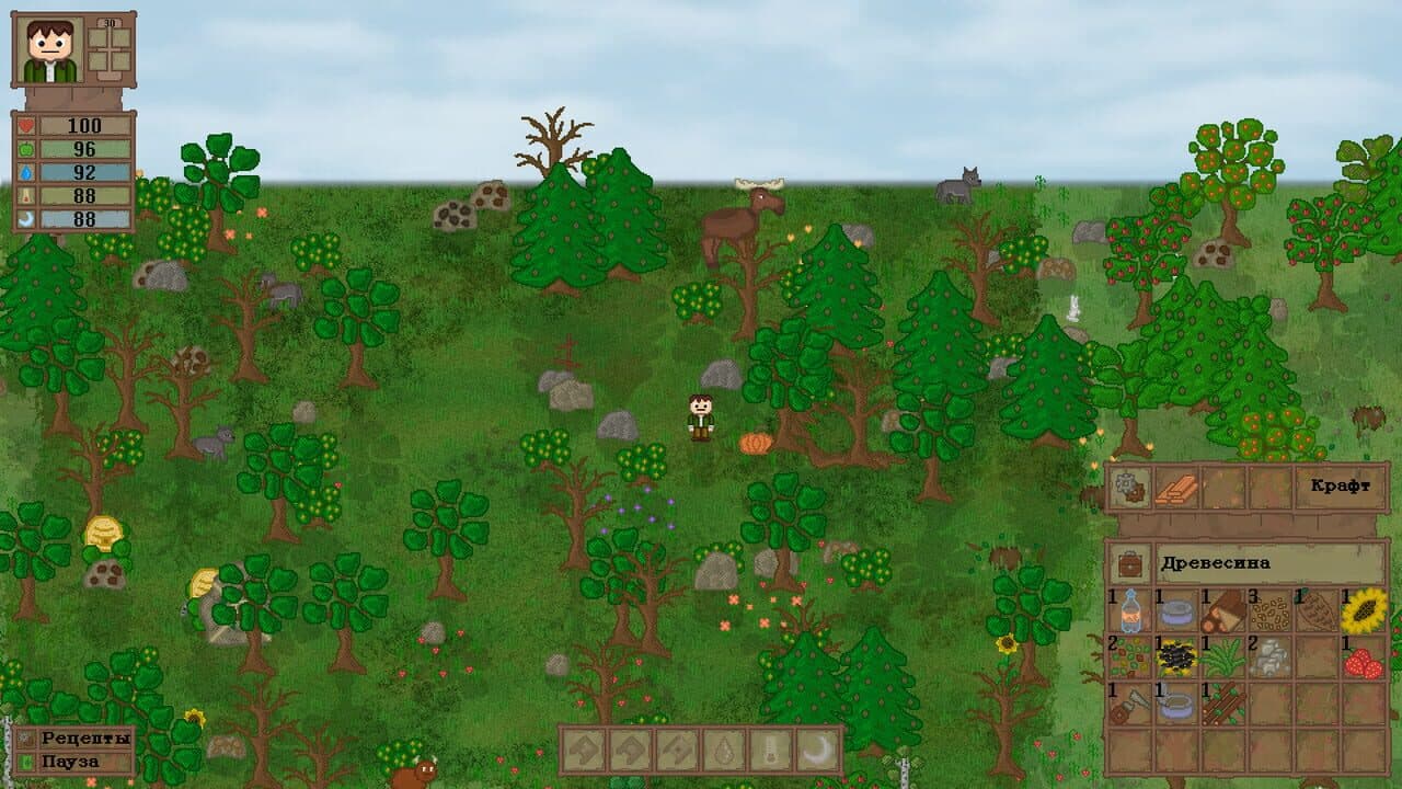 Lost In Woods 2 thumbnail 3