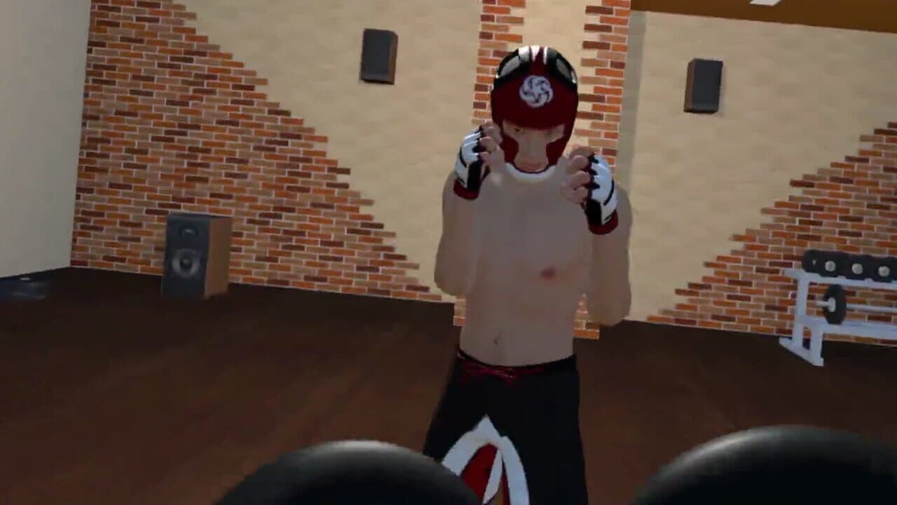 Fight Sparring VR thumbnail 3