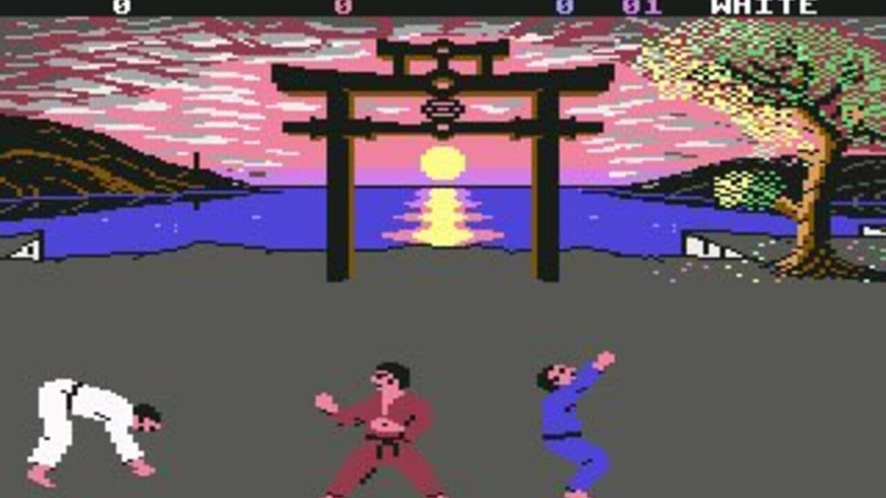International Karate + thumbnail 6