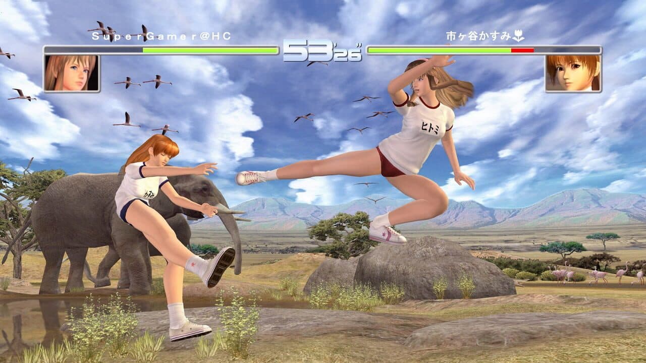 Dead or Alive 2 Ultimate thumbnail 2