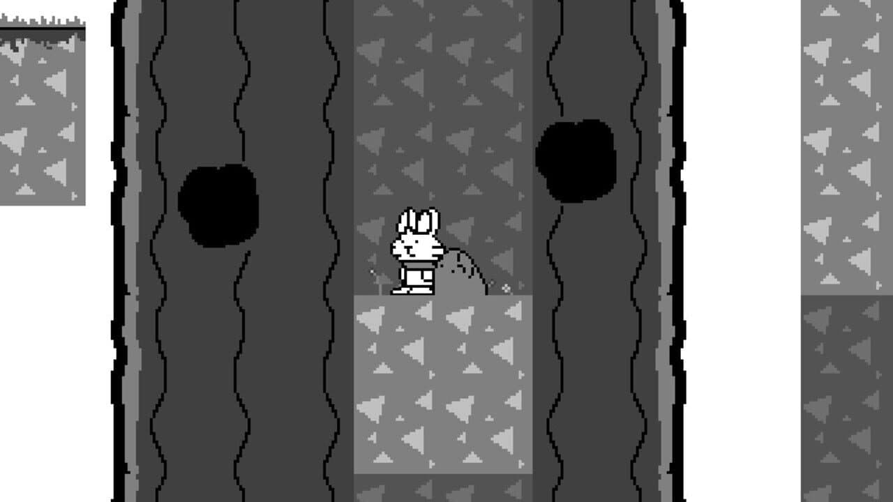 Arlo the Rabbit thumbnail 3