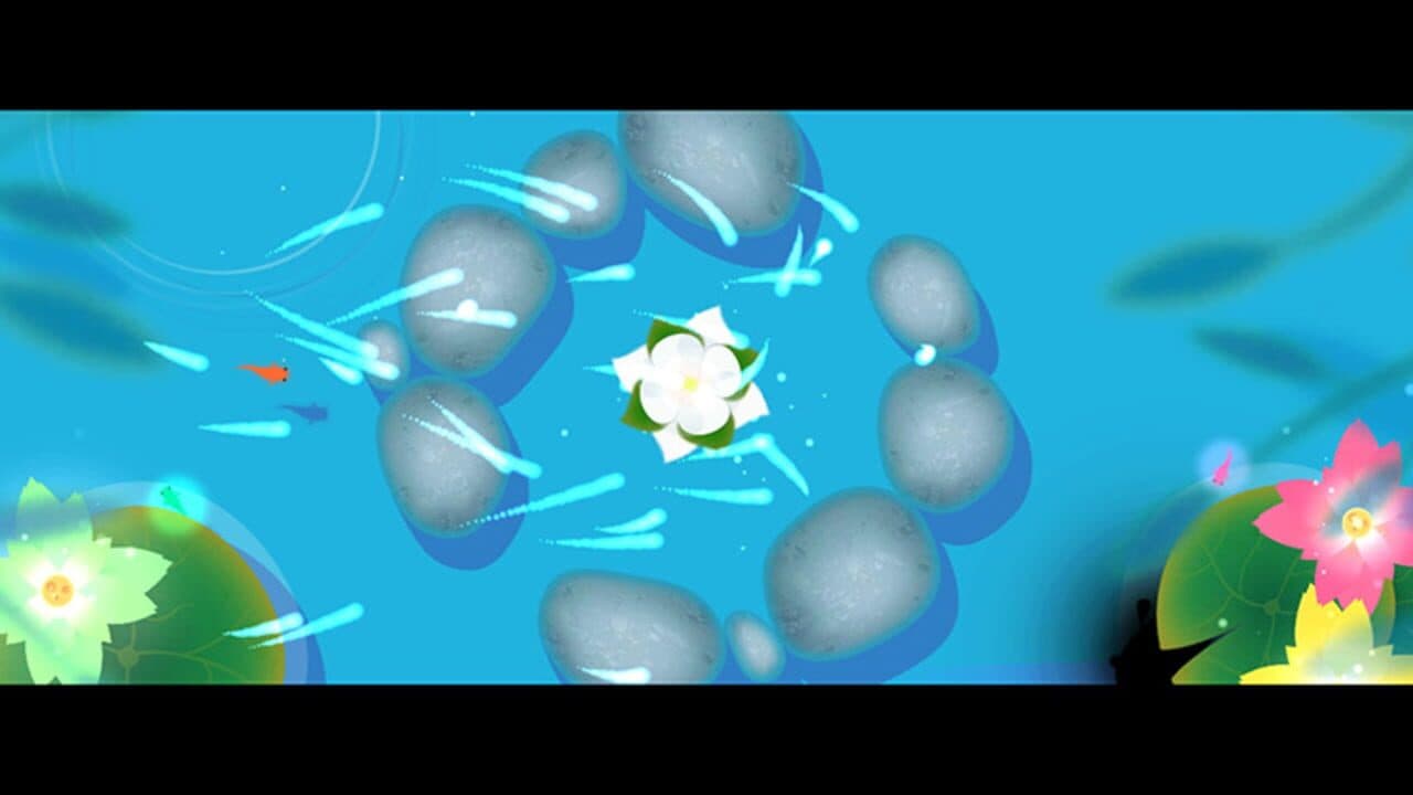 Koi DX thumbnail 6