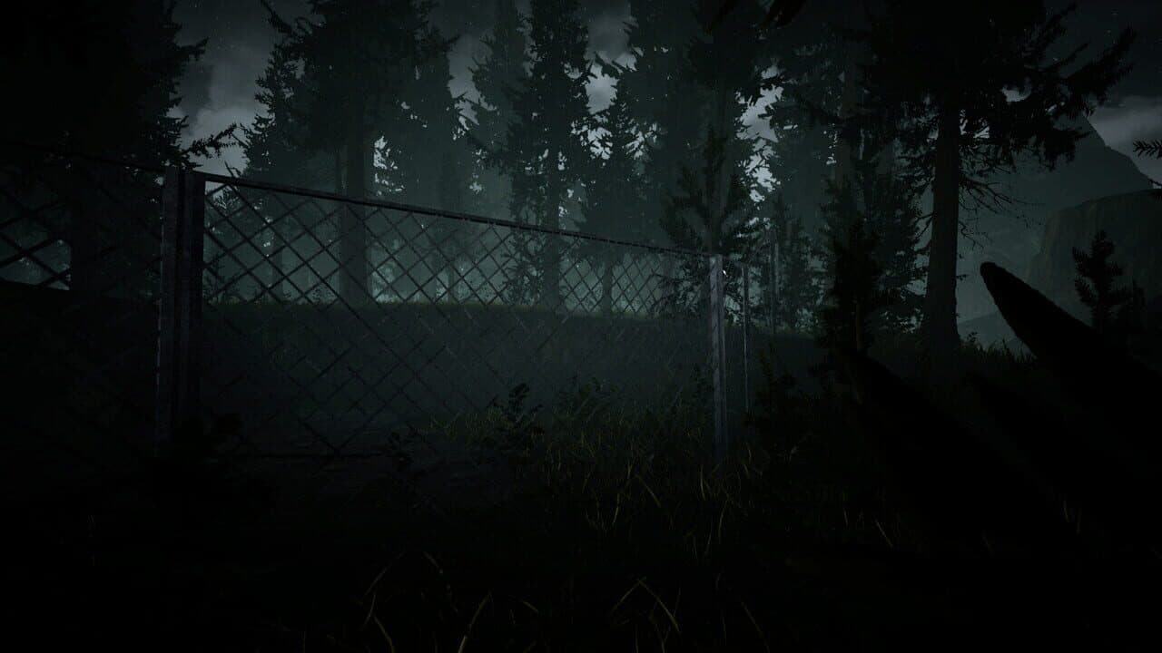Raw Footage thumbnail 4