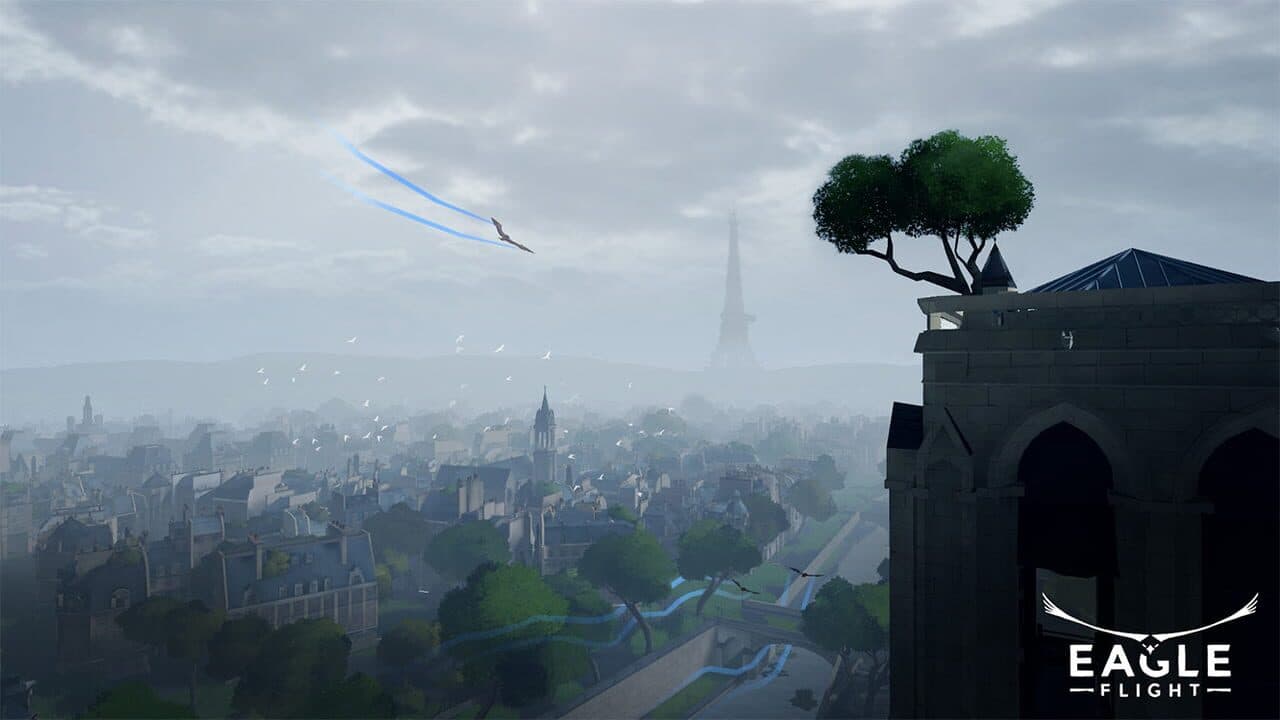 Eagle Flight thumbnail 3
