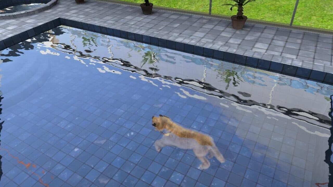 Paws & Claws: Pampered Pets screenshot 1