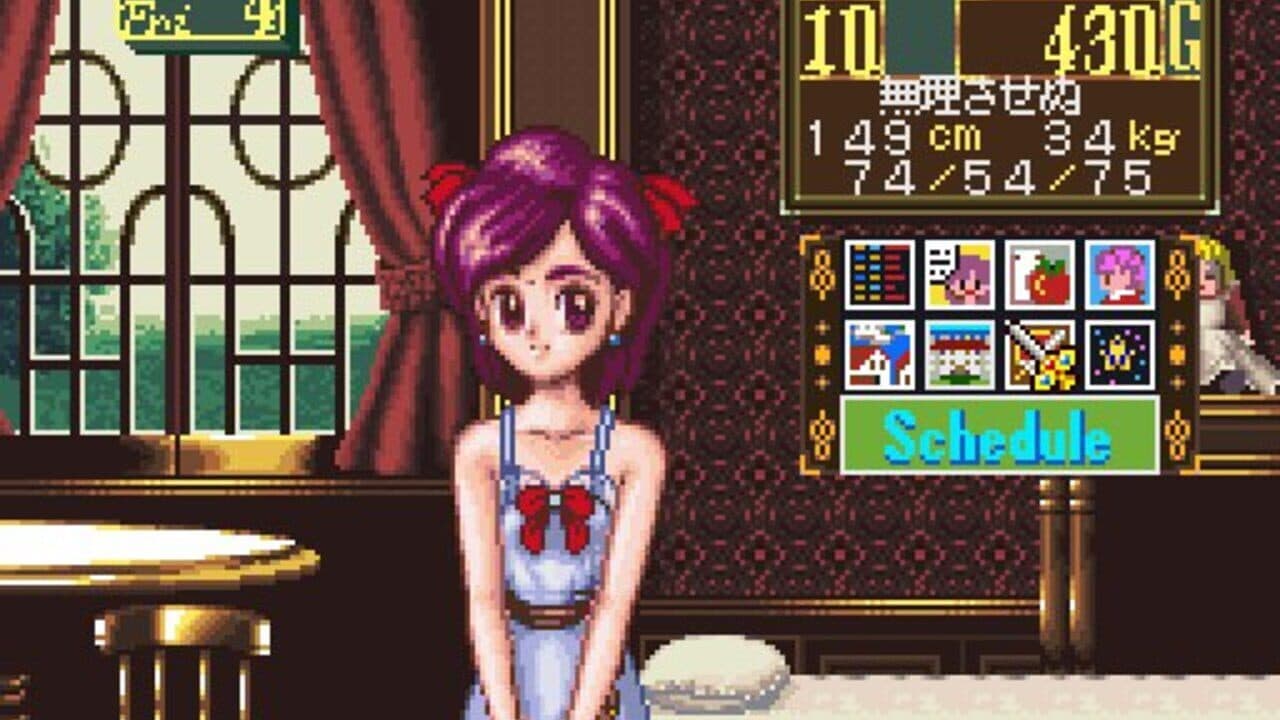 Princess Maker: Legend of Another World thumbnail 8