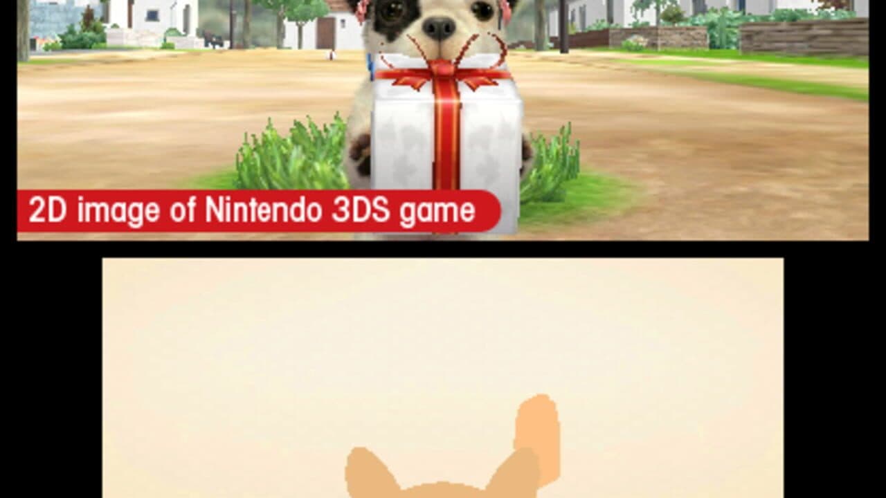 Nintendogs + Cats: French Bulldog & New Friends thumbnail 8