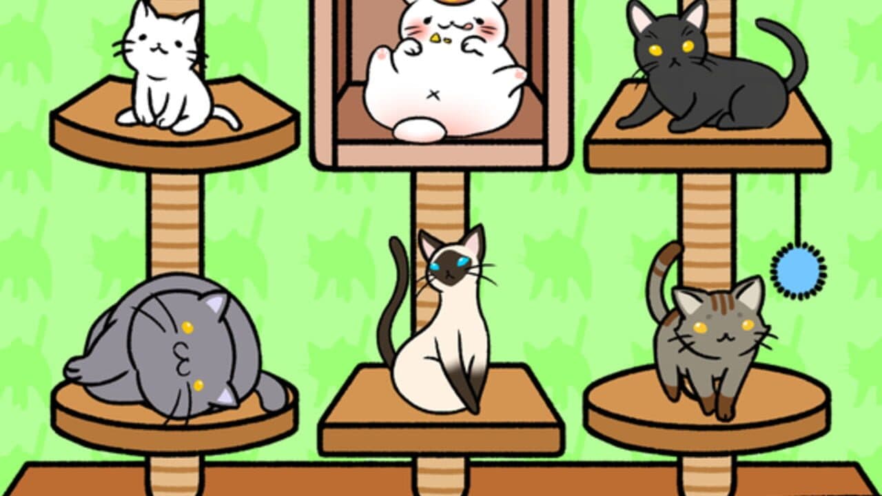 Cat Condo thumbnail 7
