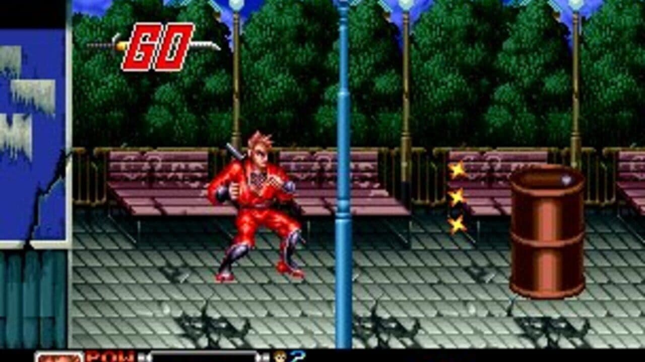 Ninja Combat thumbnail 6